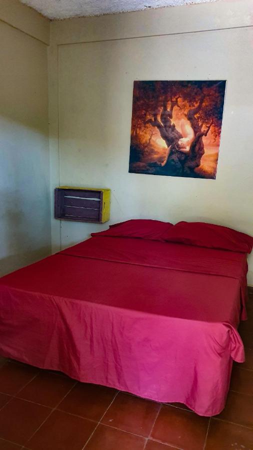 Hostal Club Mochilero 拉利伯塔德 外观 照片